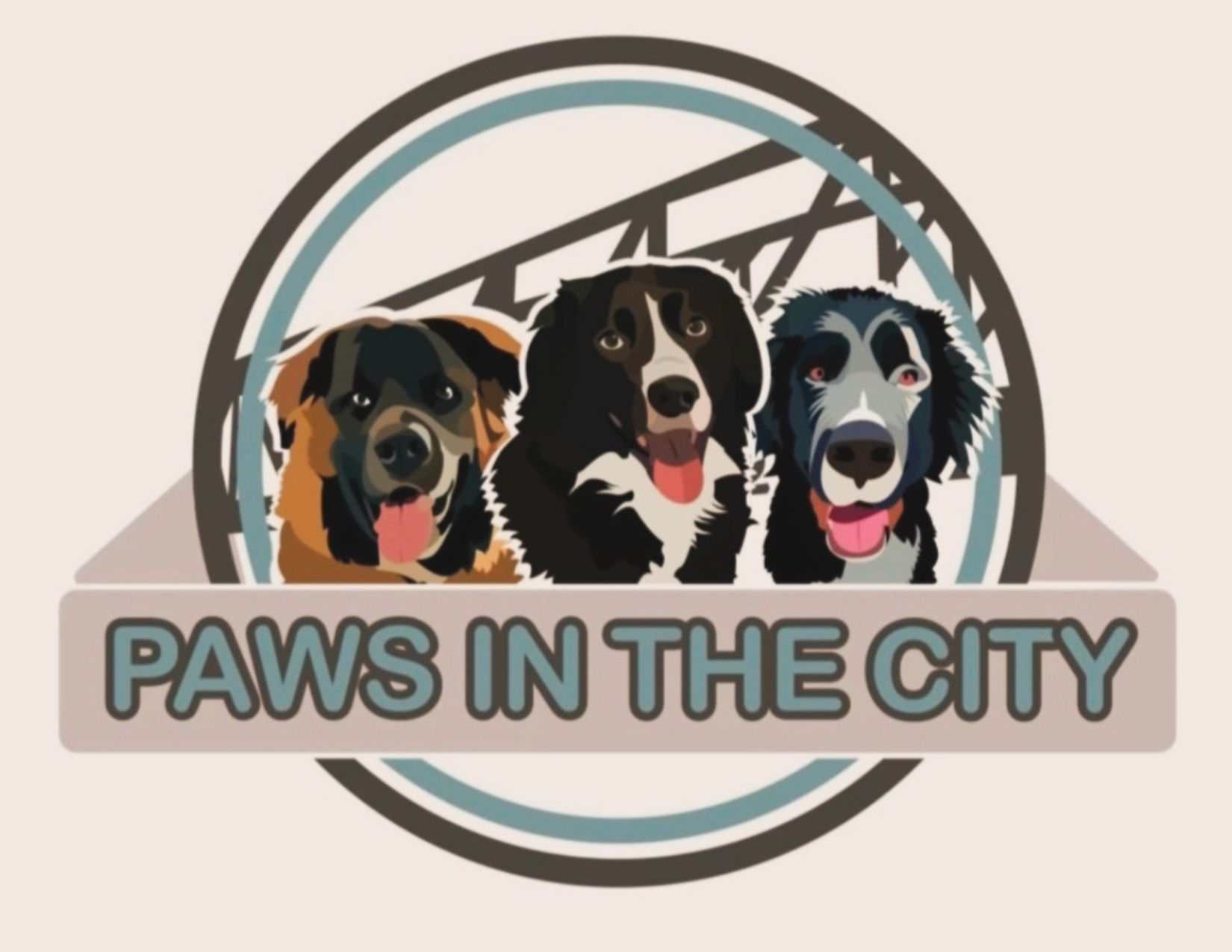 Success Story: Brenda Schultz — Building Confidence and Value with Paws in the City